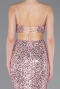 Robe de Soirée Longue Poudre ABU5980