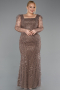 Robe De Fiançailles Grande Taille Perlé Longue Brun ABU4761