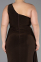 Robe Grande Taille Longue Brun ABU3132