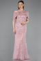 Robe de Soirée Longue Dantelle Poudre ABU6119