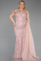 Robe de Soirée Grande Taille Longue Poudre ABU5844