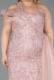 Robe de Soirée Grande Taille Longue Poudre ABU5844