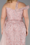 Robe de Soirée Grande Taille Longue Poudre ABU5844
