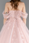 Robe De Fiançailles Grande Taille Longue Poudre ABU6197