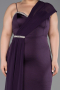 Robe Grande Taille Longue Violet ABU5827
