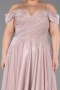 Robe De Soirée Grande Taille Longue Poudre ABU5716