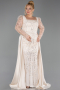 Robe De Fiançailles Grande Taille Perlé Longue Beige ABU4761