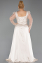 Robe De Fiançailles Grande Taille Perlé Longue Beige ABU4761