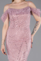 Robe de Soirée Longue Perlé Poudre ABU6190