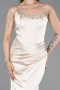 Robe Queue de Poisson Satin Longue ABU6109