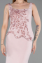 Robe de Soirée Longue Poudre ABU6225