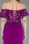 Robe De Soirée Dantelle Longue ABU2261