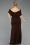 Robe De Soirée Grande Taille Longue ABU3945