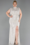 Robe De Soirée Grande Taille Squameuse Longue Vison ABU3115