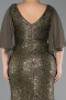 Robe de Soirée Grande Taille Longue Perlé Kaki ABU6261