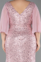Robe de Soirée Grande Taille Longue Perlé Poudre ABU6261