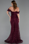 Robe de Soirée Dantelle Longue ABU5973