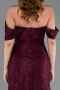 Robe de Soirée Dantelle Longue ABU5973