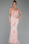 Robe de Soirée Longue Poudre ABU6299