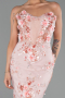 Robe de Soirée Longue Poudre ABU6299