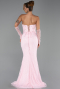 Robe de Soirée Longue Dantelle Poudre ABU6355