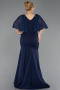 Robe De Soirée Grande Taille Longue Bleu Marine ABU6353