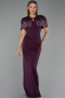 Robe de Soirée Longue Prune ABU5889