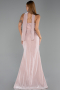 Robe de Soirée Longue Perlé Poudre ABU6440