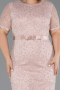 Robe De Invitation Grande Taille Midi Dantelle Poudre ABK2673