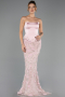 Robe de Soirée Longue Dantelle Poudre ABU6656