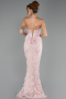 Robe de Soirée Longue Dantelle Poudre ABU6656