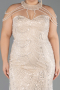 Robe De Soirée Grande Taille Longue Perlé Beige ABU6632