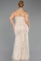 Robe De Soirée Grande Taille Longue Perlé Beige ABU6632