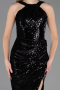 Robe de Soirée Longue Noir ABU6662
