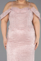 Robe De Fiançailles Grande Taille Longue Dantelle Poudre ABU6694