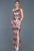 Robe de Soirée Longue Poudre ABU835
