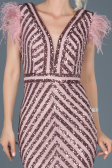 Robe de Soirée Longue Poudre ABU881
