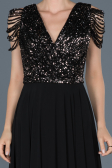 Robe de Cérémonie Longue Noir-Argent ABU932