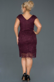 Robe Grande Taille Courte Prune ABK010