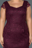 Robe Grande Taille Courte Prune ABK010