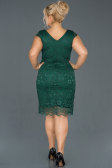 Robe Grande Taille Courte Émeraude ABK010