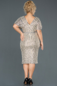 Robe de Soirée Grande Taille Courte Or ABK686