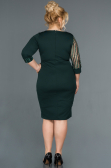 Robe de Soirée Grande Taille Courte Émeraude ABK810