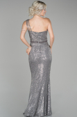 Robe de Soirée Longue Gris ABU1436