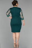 Robe Grande Taille Courte Vert ABK833