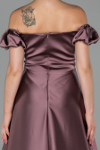 Robe de Soirée Longue Satin Vison ABU1840