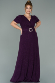 Robe Grande Taille Longue Prune ABU1904