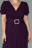 Robe Grande Taille Longue Prune ABU1904
