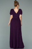 Robe Grande Taille Longue Prune ABU1904