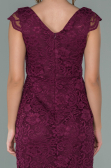 Robe de Soirée Courte Prune ABK010